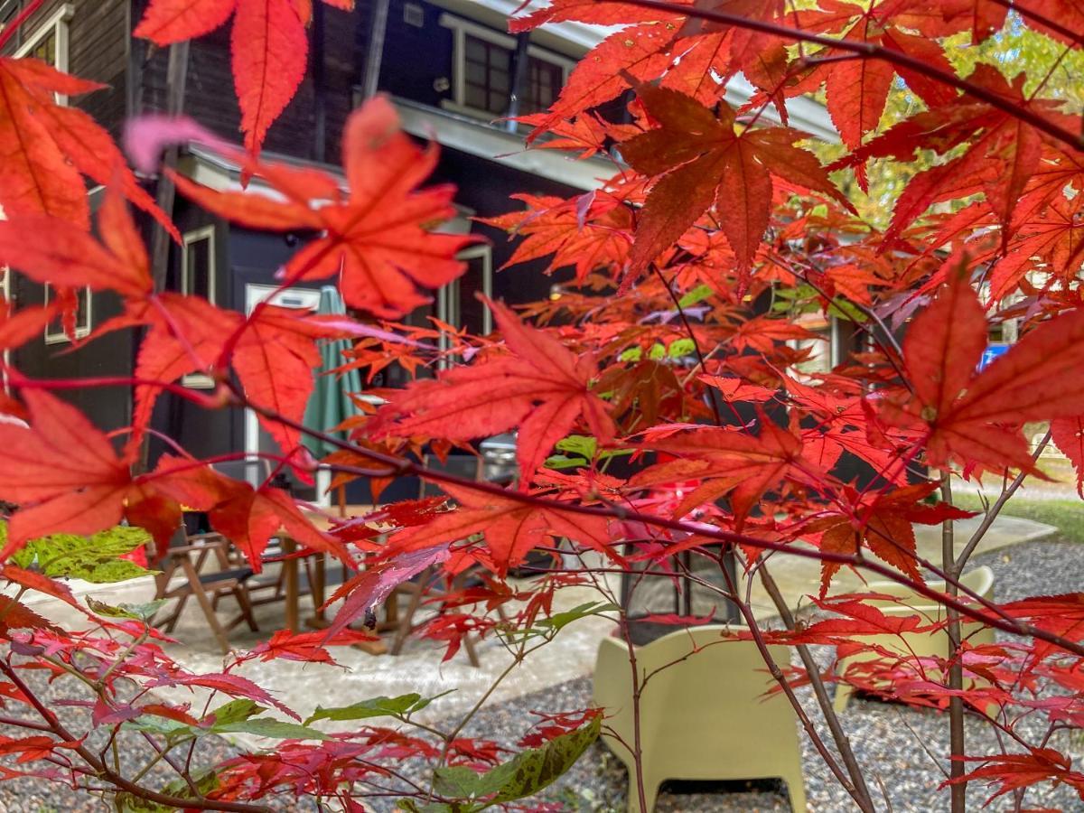 Mojo Lodge Hakuba Exterior photo
